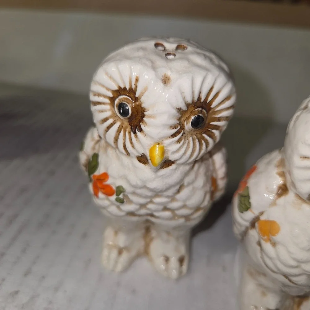 Vintage Ceramic Owl Salt+Pepper Shaker - Hand-painted Floral and Feathers